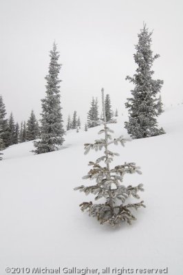 _DSC1643.jpg