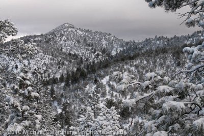 _DSC1870.jpg