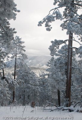 _DSC1984-Edit.jpg