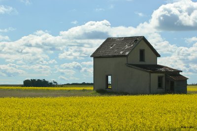 Prairie landscapes