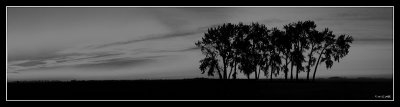 prairie sunset 