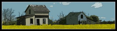 abandoned house and canola panoramic.jpg