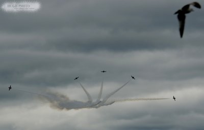 a-38.jpg