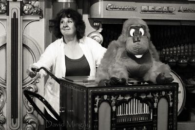 I'm a monkey.....or should that be organ grinder?