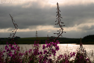 12th July 2006 - Siblyback