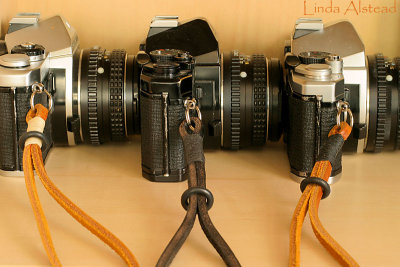 28th July 2006 - three little cameras....