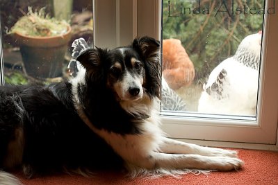 12th January 2008 - on guard