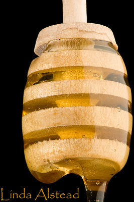 18th January 2008 - becoming an apiarist