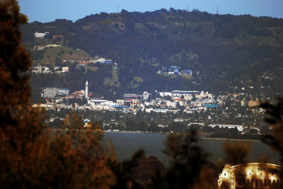 Berkeley Shimmers Across the Bay