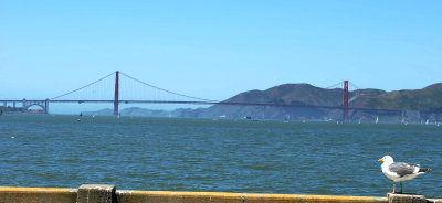 Bridge as seen from the Pier