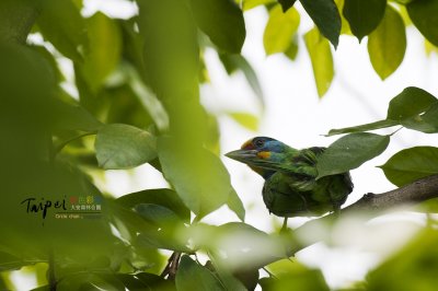 small_DSC_9260.jpg