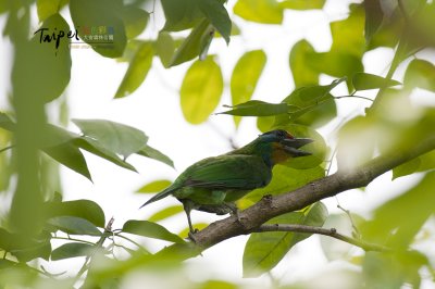 small_DSC_9259.jpg