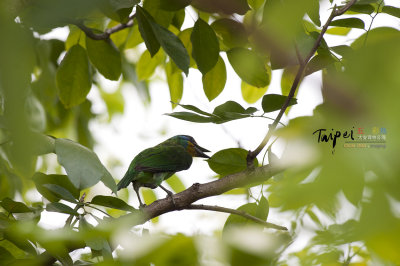 small_DSC_9258.jpg