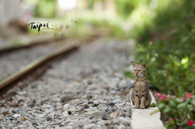 small_DSC_9123.jpg