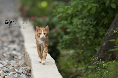 small_DSC_9117.jpg