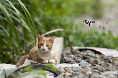 small_DSC_9138.jpg