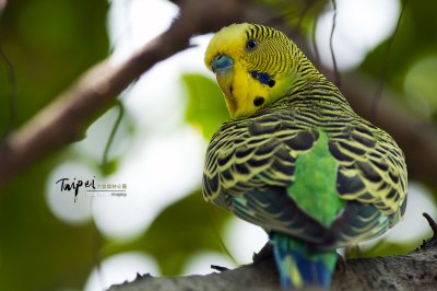 pbase_DSC_9289.jpg