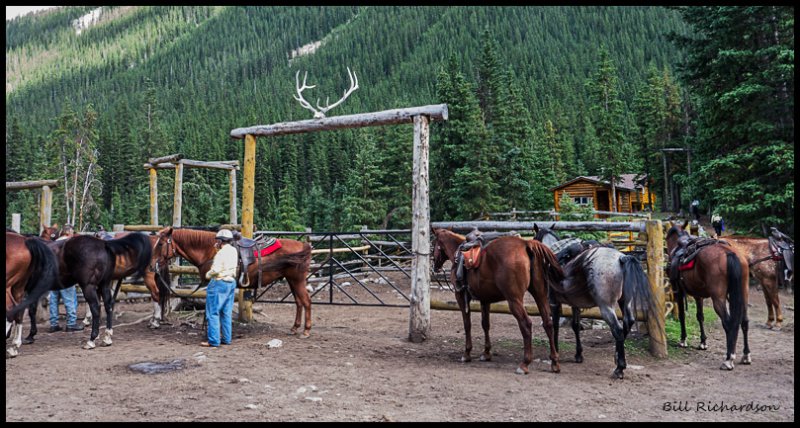  Sundance corral saddle up.jpg