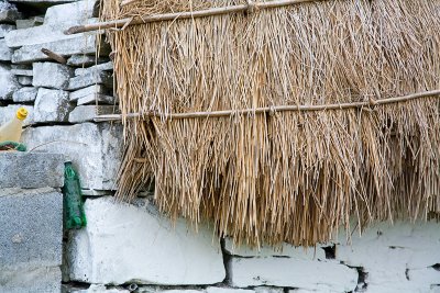 thatched roof and bottles.jpg