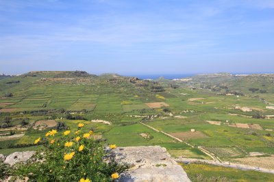 Gozo