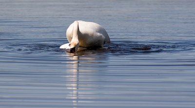 IMG_6323.jpg