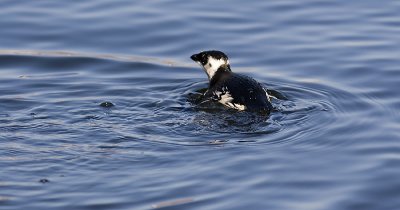IMG_8774.jpg