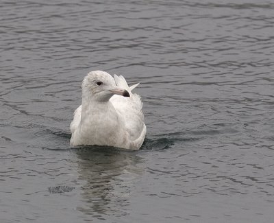 IMG_9711.jpg