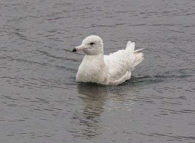 IMG_9712.jpg