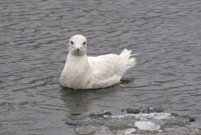 IMG_9724.jpg