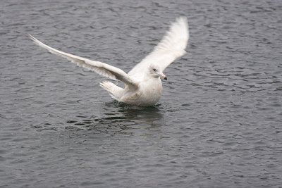 IMG_9743.jpg