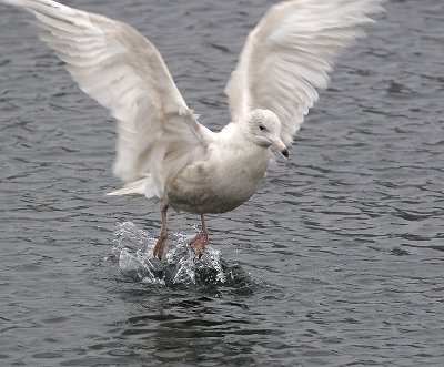 IMG_9744.jpg