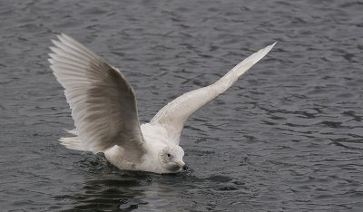 IMG_9745.jpg