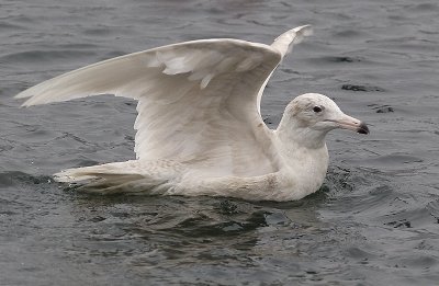 IMG_9762.jpg