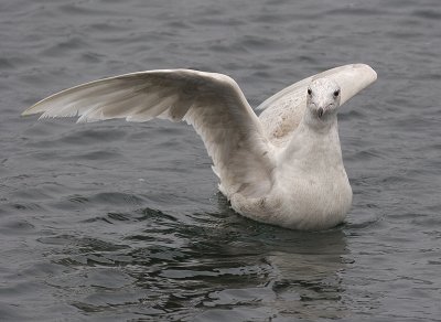 IMG_9770.jpg
