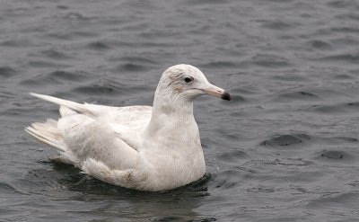 IMG_9771.jpg