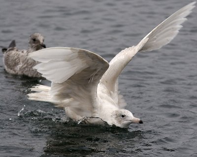 IMG_9805.jpg