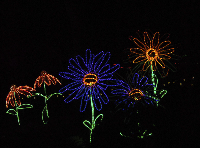 Garvan Gardens Christmas Lights Photo Lejun Photos At Pbase Com