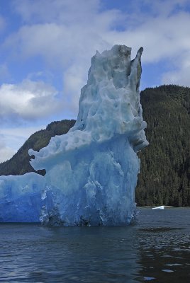 LeConte Iceberg