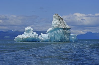 Icebergs from the LeConte Glacier