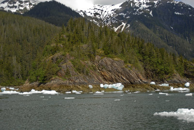 LeConte Iceberg