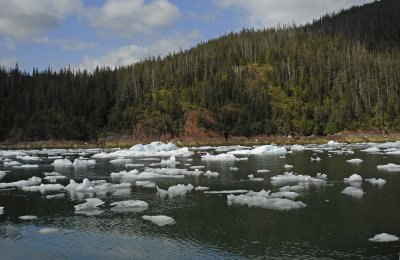 LeConte Iceberg