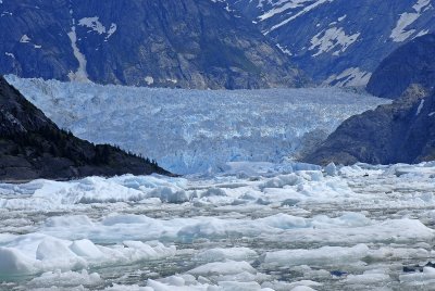 Visit to the LeConte Glacier