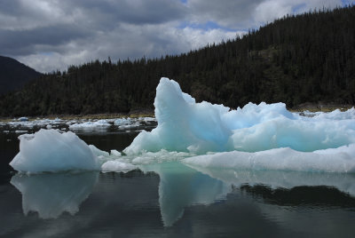 LeConte Iceberg