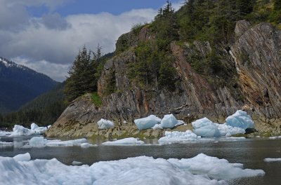 LeConte Iceberg