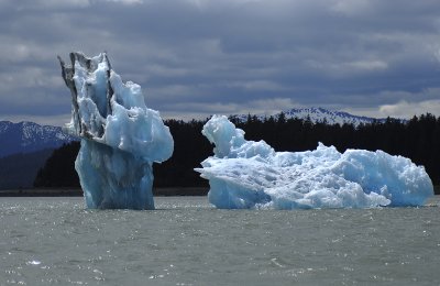 LeConte Iceberg