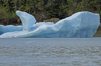 LeConte Iceberg