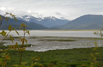 Other Tongass National Forest Views