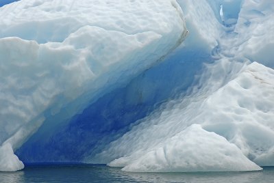 Tracy Arm Iceberg