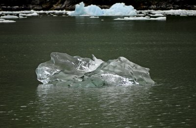 Tracy Arm Iceberg