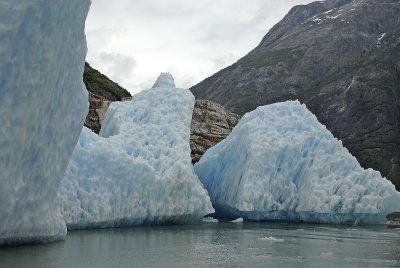 Tracy Arm Icebergs